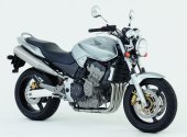 2007 Honda 919 / Hornet 900 photo